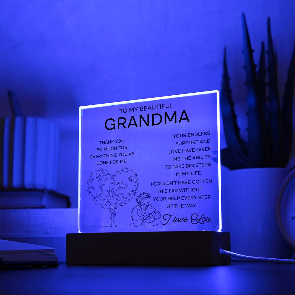 To My Beautiful Grandma | Thank you for everything youve done for me | Acrylic Plaque